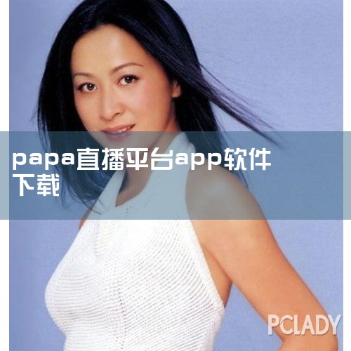 BigPapa这个词源于英语，直译过来的意思是大爸爸。不过在英语里，BigPapa有时也被用来形容很酷、很厉害的人。而在网络语言里，BigPapa则是一个被用来形容很有威严、很高大上的人物的词汇。这个|P站专业版