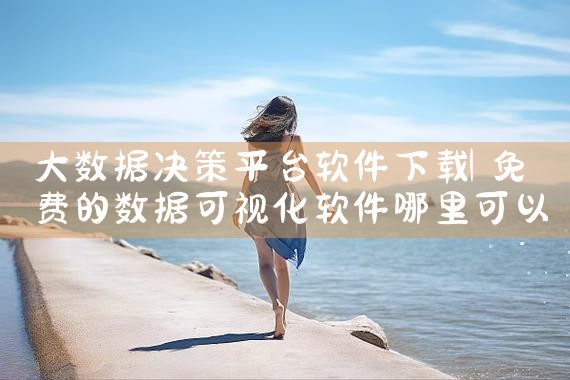 大数据决策平台软件下载|哔咔漫画