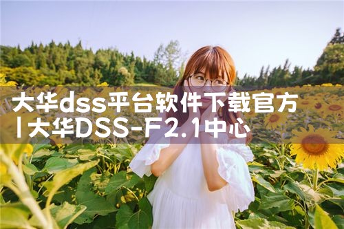 大华dss平台软件下载官方|MR好色