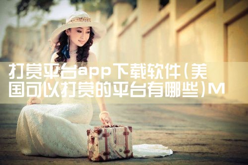 打赏平台app下载软件|MR好色