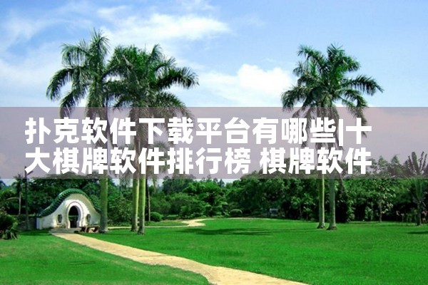 扑克软件下载平台有哪些|P站专业版