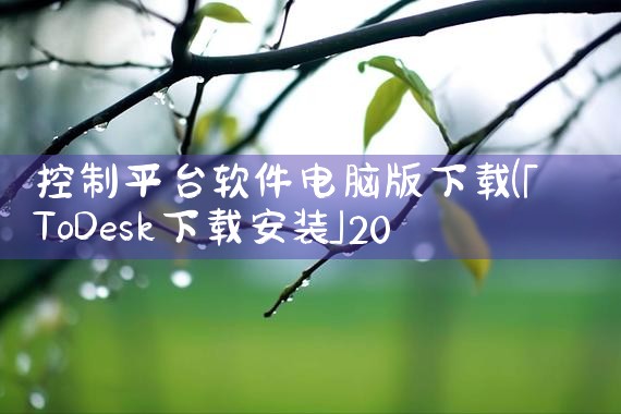 控制平台软件电脑版下载|MR好色