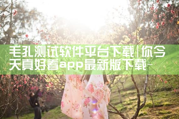 毛孔测试软件平台下载|P站专业版