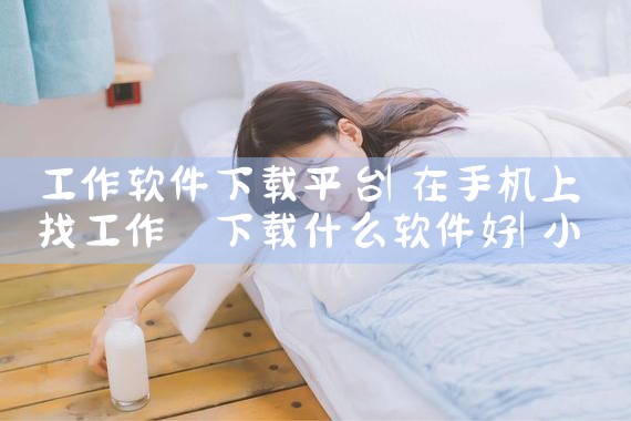 工作软件下载平台|小蓝视频