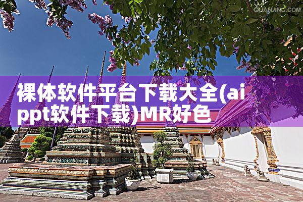 裸体软件平台下载大全|MR好色