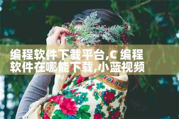 编程软件下载平台|小蓝视频
