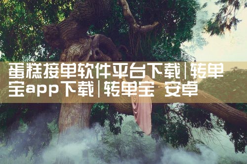 蛋糕接单软件平台下载|MR好色