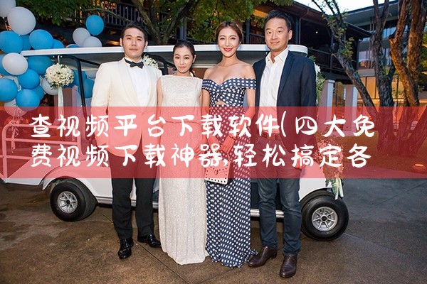 查视频平台下载软件|P站专业版