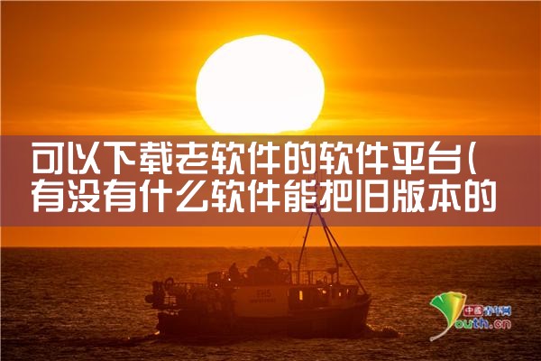 可以下载老软件的软件平台|P站专业版