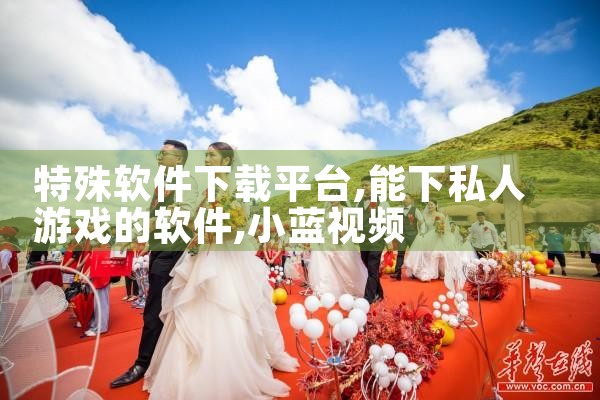 特殊软件下载平台|小蓝视频